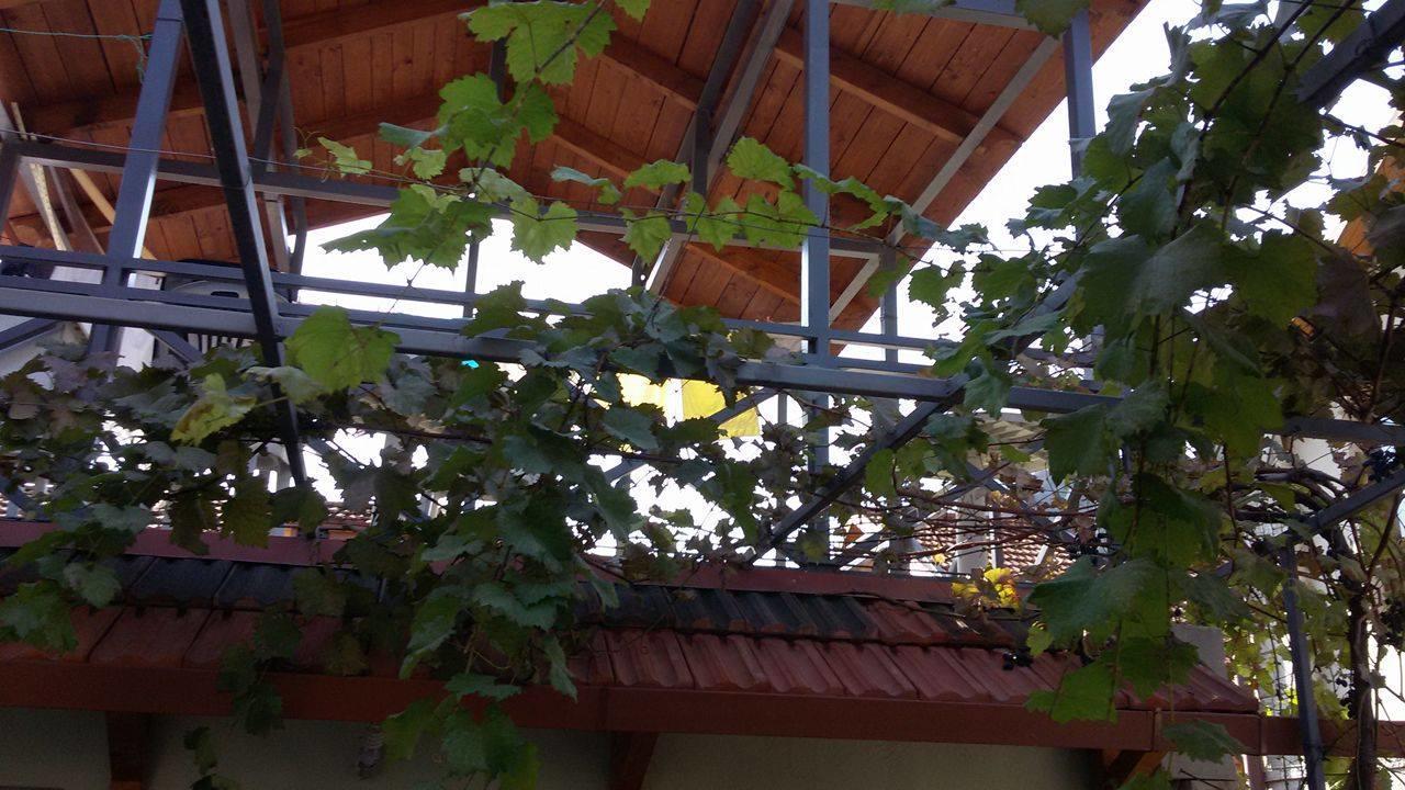 Guesthouse 26 Mtsʼkhetʼa Zewnętrze zdjęcie