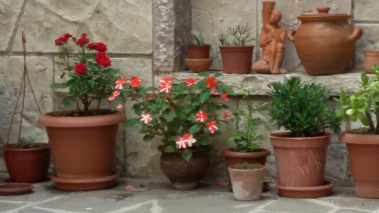 Guesthouse 26 Mtsʼkhetʼa Zewnętrze zdjęcie